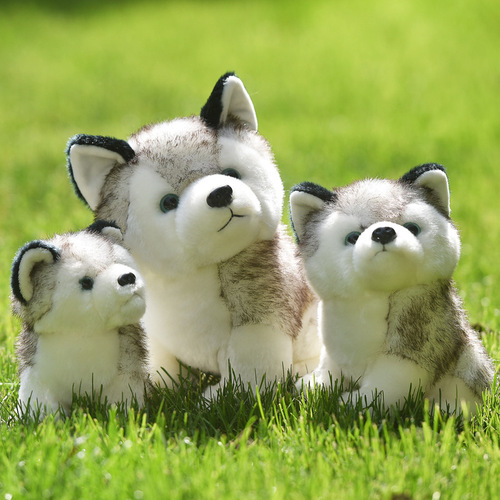 Small doll doll girl large super cute gift girl Husky doll Erha plush toy simulation dog
