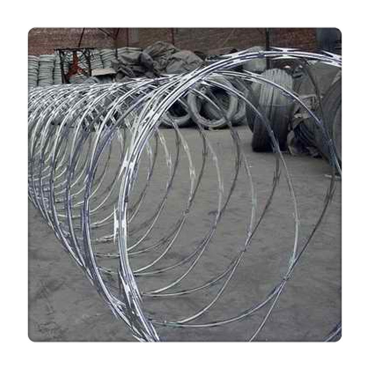 厂家现货供应带刺铁丝网刀片刺网刀片刺丝蛇腹式) 螺旋式刀片刺绳