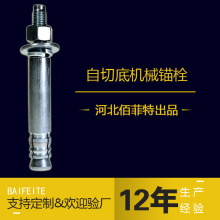 佰菲特自营 机械锚栓 高强度后扩底机械锚栓 自切底机械锚栓