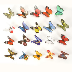 3D立體仿真蝴蝶牆貼 廠家直銷臥室客廳家居場景背景裝飾貼飾