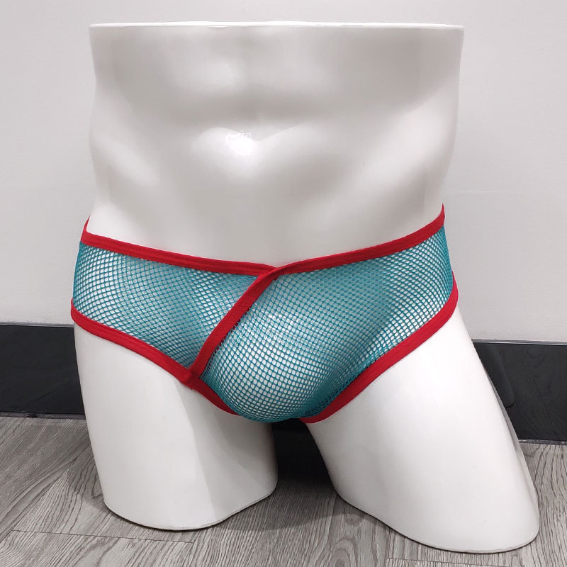 Briefs