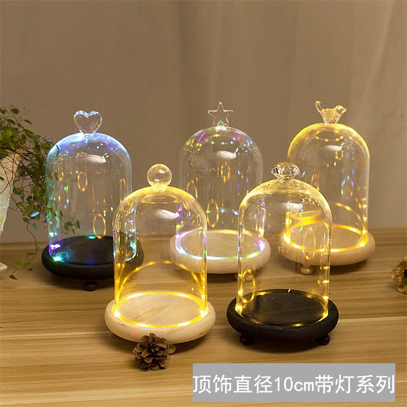 Креативные светящиеся вечные цветы, стеклянные украшения, имитация цветов, сухоцветы, пылезащитный чехол, микропейзаж, прозрачное цветочное искусство