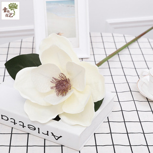 �����z�ܴ����m �Ҿ����컨���^������ؔ[�O �b��m�����滨���l