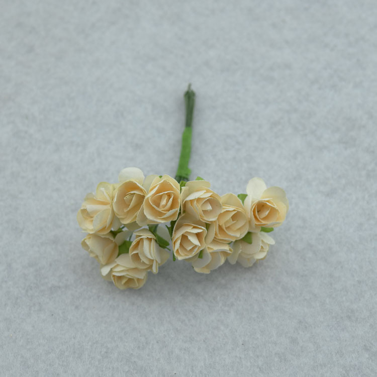 Champagne color