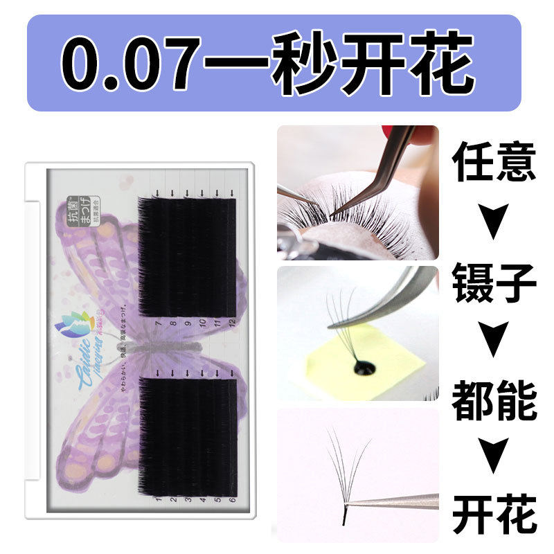 Eyelash extension