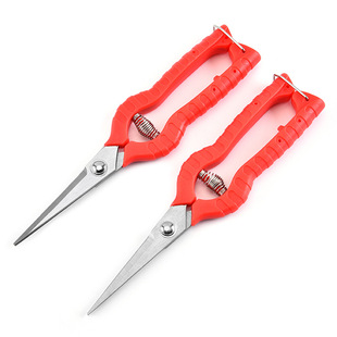 �������Ѽ����P䓈@����֦������ϡ�����P���@ˇ���߼��^���@ժ��