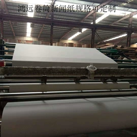 牛皮纸;新闻纸;功能薄膜