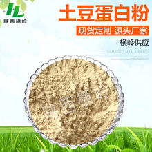 土豆蛋白粉60% 土豆提取物 厂家供应 马铃薯蛋白肽 1KG起订现货