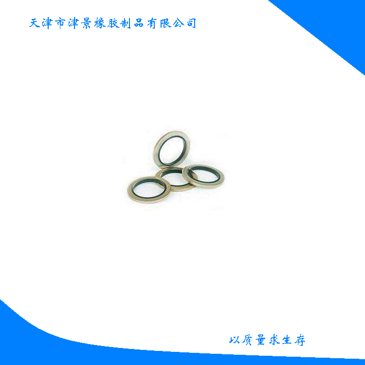 供应工矿设备孔用密封全包及半包组合垫圈 抗压耐磨