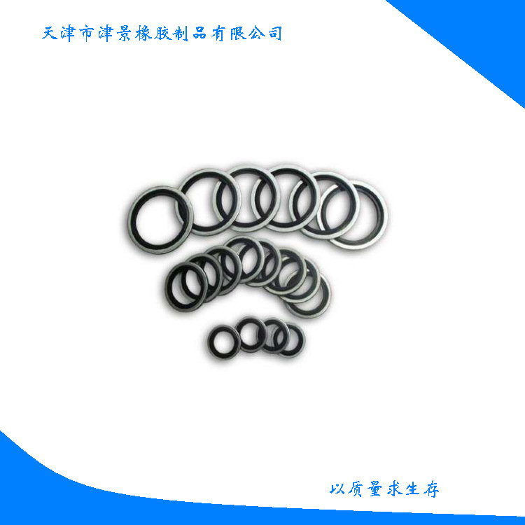 供应金属软管密封垫圈 不锈钢加氟橡胶组合垫