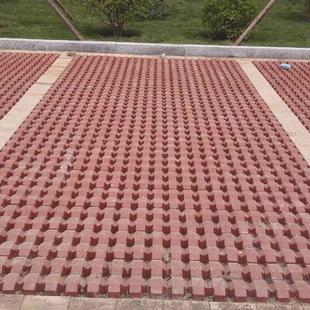 �������Y�u�t�Sɫ���Ĉ@�ֵ���·���⠝�u���е������u