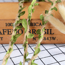 �S��ֱ�N�G�~���K10��/�� DIY�����b��ٗl�G�~���~�p�����K�S��