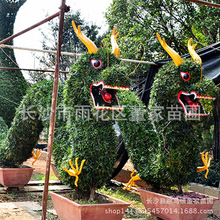 供应造型罗汉松 龙 狮子 聚宝盆 孔雀 亭子 花瓶 马 等特殊造型