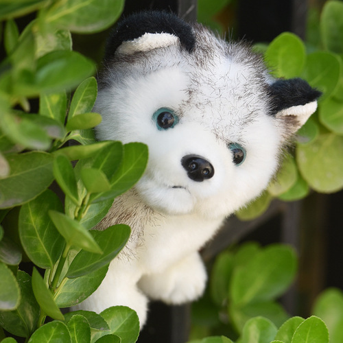 Small doll doll girl large super cute gift girl Husky doll Erha plush toy simulation dog