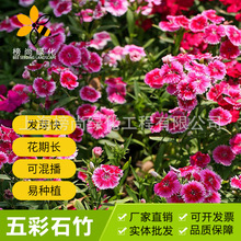 ���ʯ���Ѱ��U���ܷN�ӳ���ʯ������ʯ��������ݻ�ϲ��ͺ�