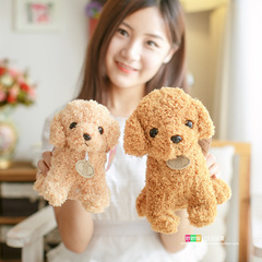 廠家批發公仔布娃娃吉祥物logo跨境電商禮品仿真泰迪狗毛絨玩具