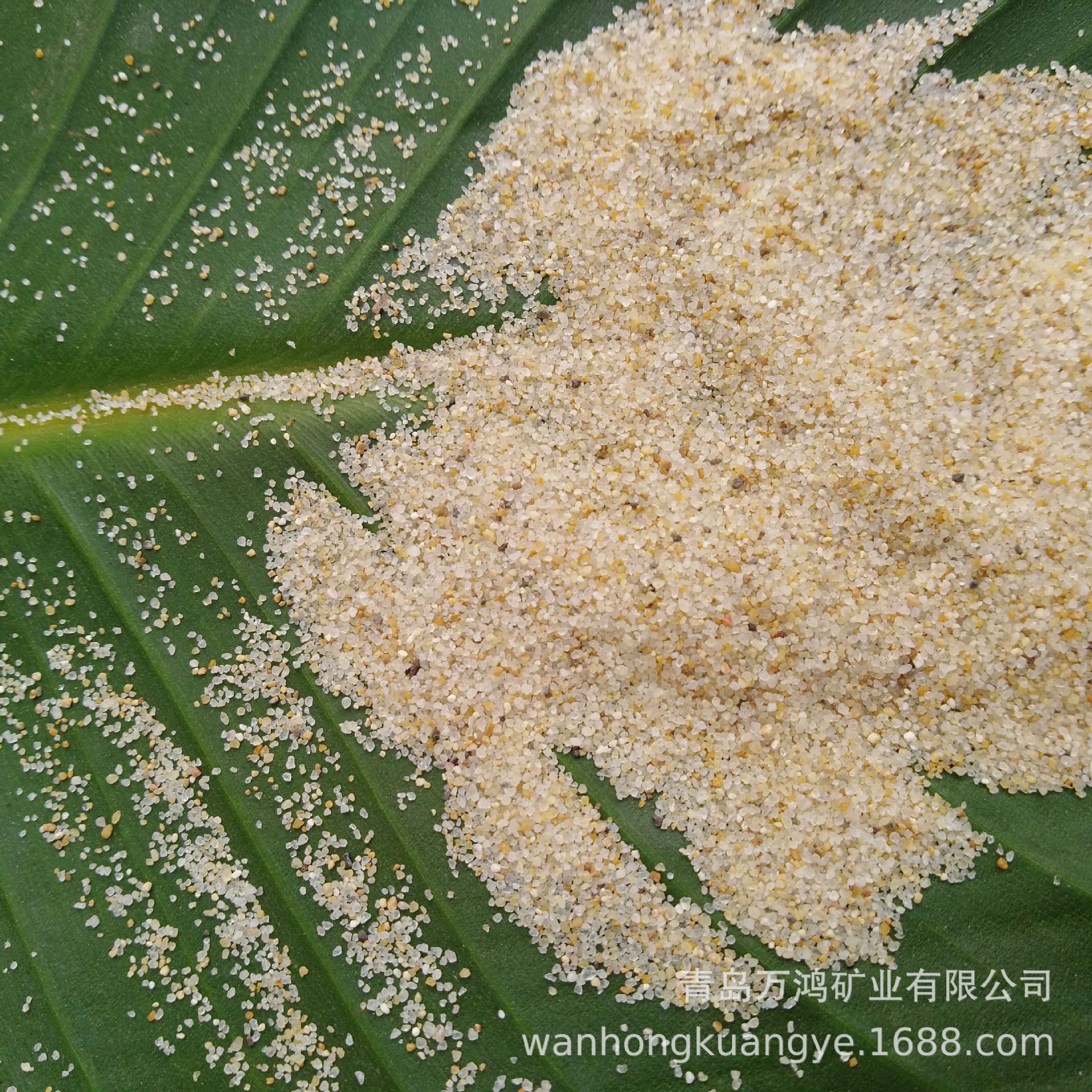 海沙厂家户外沙滩游乐场海沙30-50目沙坑填充细沙圆粒白沙