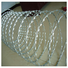 Sa Fz \̽zI̾WƬKr񃞻