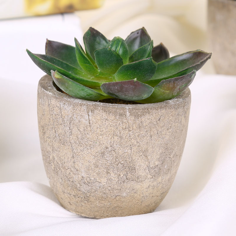 Planta verde artificial planta suculenta maceta Venta caliente transfronteriza fábrica de comercio electrónico al por mayor decoración del hogar mini adornos