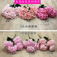 c滨Sҷɫcbٻ]·õĵl