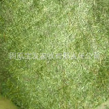 SҷNֲlޣݷ۴b÷¹¹ֲl