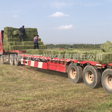 ²ϻޣţR@÷¹¹l