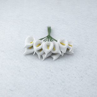 ���໨�S�ҹ��������R��ɏ����Ƭ�~�ӻ�c�Y�мٻ�PE�ٺϻ����l