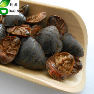 �F؛������ș�����l�Bֳ���M�x���M�x����Ԫһ����������ă�