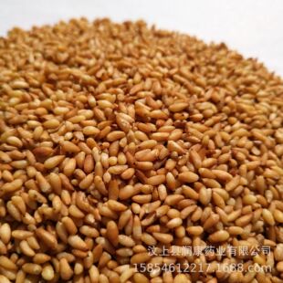 ��������ș�ĸɃ��o�s�|���w�������ʰ���șʳͬԴ��