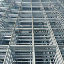 上海金属丝网厂现货供应镀锌网片 电焊网 养殖围网 装饰网片