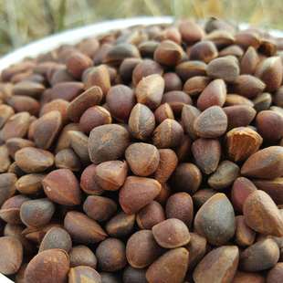 ���d���XҰ���Rβ������؛���к�С����Ȼ������Z��������������