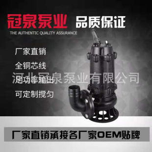 ��Ȫֱ�� 150WQ200-35-37���۱� 150�ڏ�37KW��ˮ�õVɽ���۱�