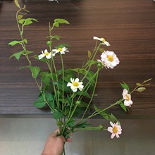 ·߅Ұ��Ұ�� ���WС���½����ٻ����滨�͏d�b�Ʒ�[��������ˇ