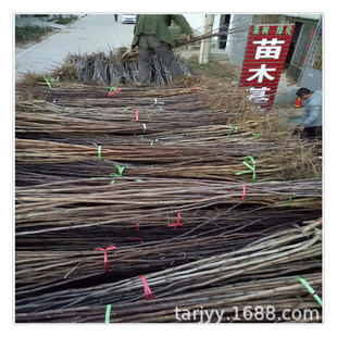 ����ɽ高��猍���� �޽����� ֲ���ϵ���� Ҏ��ȫ �F�ڬF�u