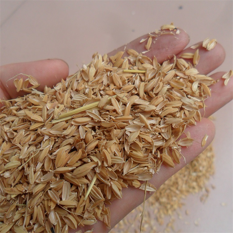 供应清洁无尘土  质地柔软 无杂质  禽畜垫料稻壳