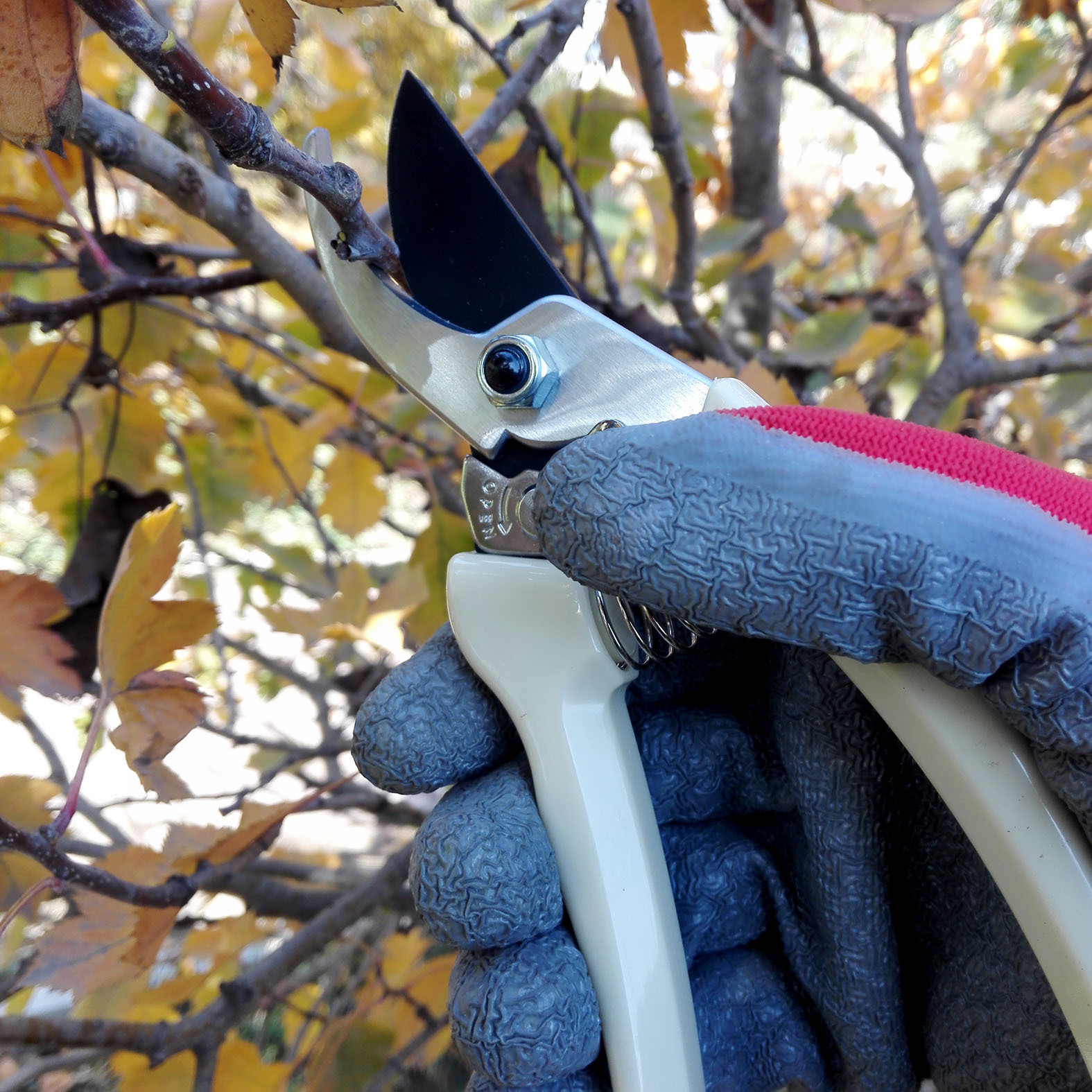 SONO修枝剪果树剪刀园艺剪果枝剪花木修枝剪省力剪刀葡萄修枝剪刀