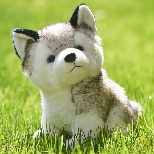 Small doll doll girl large super cute gift girl Husky doll Erha plush toy simulation dog