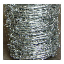 S lۡ̾W i\W С^o̾W|F؛pFz