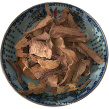 500½خaȻaƷܿiƬݾ