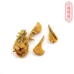 ���\���u�ڻ����ع�����ș�����l��؛�x���u������Ҏ���Rȫ�Ƀ�