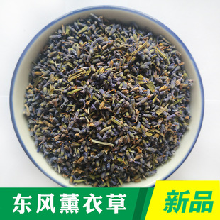 ޹�²� ޹�²ݸɻ� ԭ�����l޹�²ݏS�����lɢ�b޹�²ݻ��ݲ�