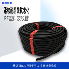 ���ϲ��y��늾���|���o����ܛ��PE����ϩpe�ܲ�늾��o�׌���