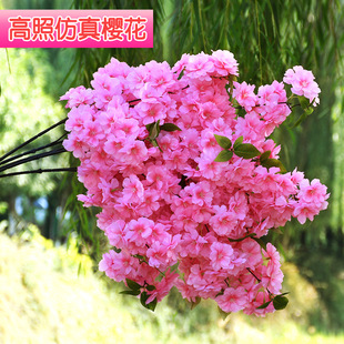���滨����ѻ�֦4�3込����һ��ѻ���֦��c�b��T���߼ٻ�