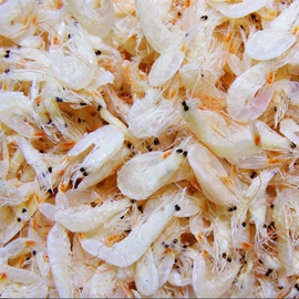 海带;海藻类;其他水产加工