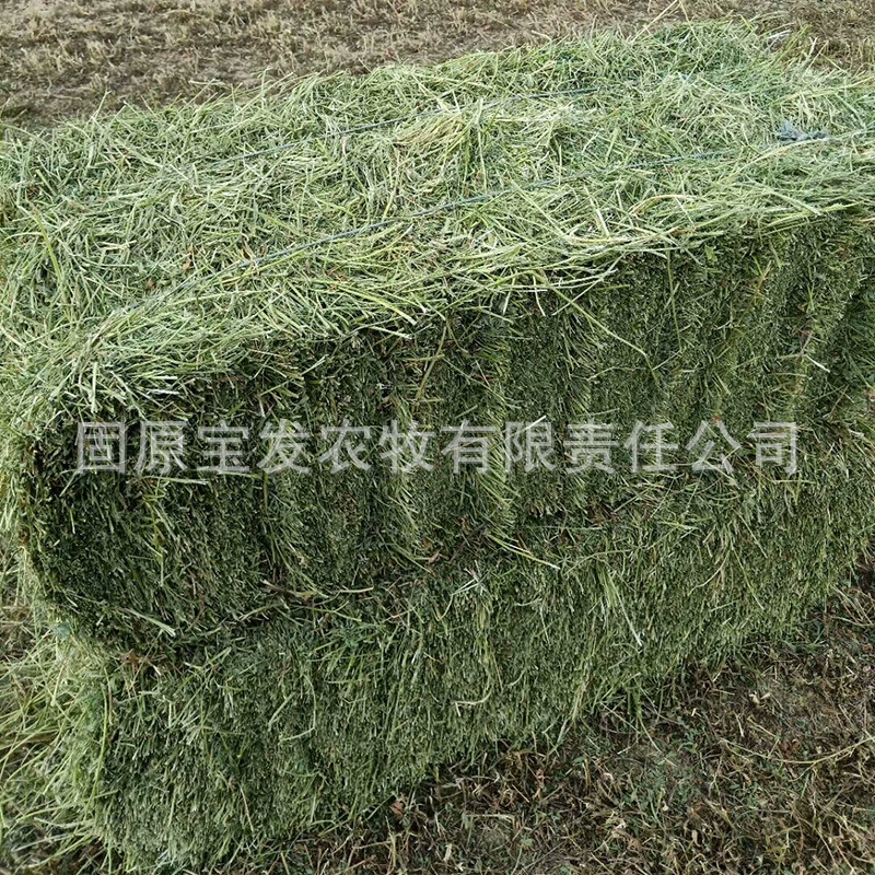 Кормовые связки крупного рогатого скота, овец и лошадей, кормовая база, кормовая база, выращивание кормов для животных, тюки люцерны