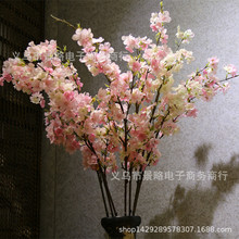 ��Ʒ����ѻ���֦�Ҿ��b[�Ż�ˇ�ձ��ѻ���ˇ�b����һ����l