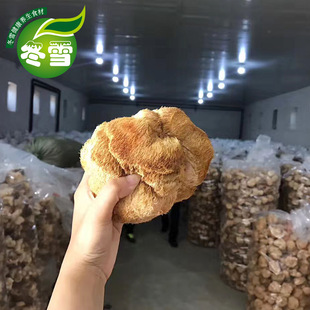 �����^������؛���lʳ�þ�����ʳ���Bθ�Ԍ�؛Դ����ă��\�д���