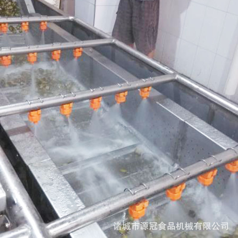 供应葡萄干气泡清洗机 大枣红枣翻浪式清洗机厂家 连续自动洗果机