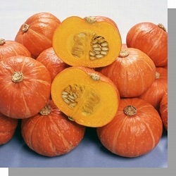 ���ڸз�����ձ�ԭ�b�M���s�������ϹϷN��-�t/��/��Ƥ�ϹϷN��