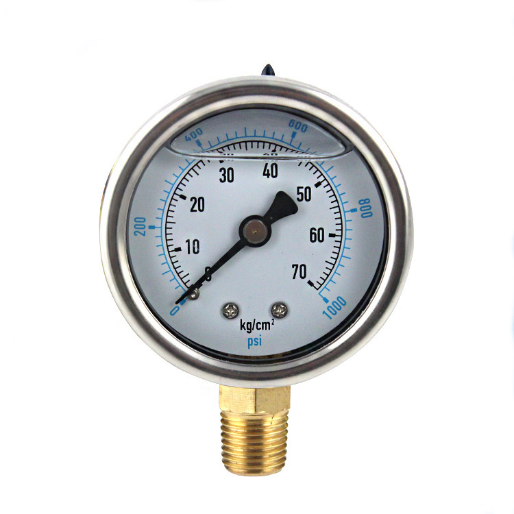 专业生产纯水机不锈钢耐震压力表   304不锈钢净水器压力表